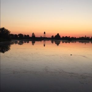 Meet your Posher, Alondra